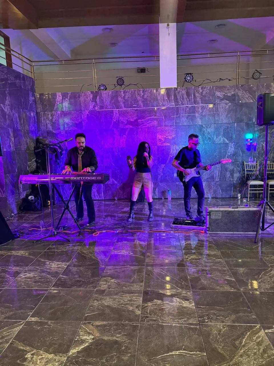Fiesta Cumpleaños Anahi